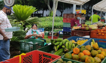 El “Mercado Campesino” llega a la Ciudadela Petronio