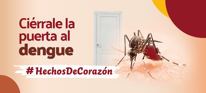 Campaña contra el dengue se toma a la comuna 6 de Cali