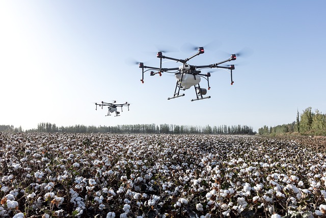 Palmira, sede del Primer Congreso de Agricultura Sostenible