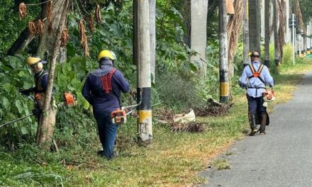 Palmira se embellece para la Media Maratón Internacional