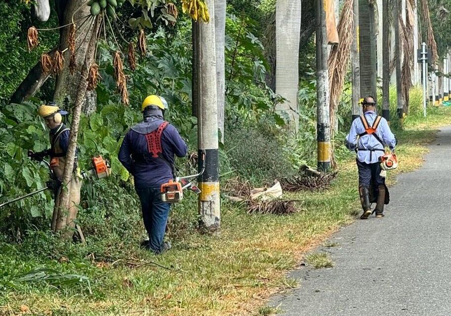 Palmira se embellece para la Media Maratón Internacional