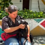 Palmira le sigue la huella a hogares de paso y albergues veterinarios