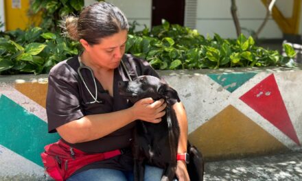 Palmira le sigue la huella a hogares de paso y albergues veterinarios