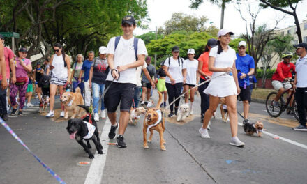 En la Ciclovida de Cali: actívate este domingo y vive saludable