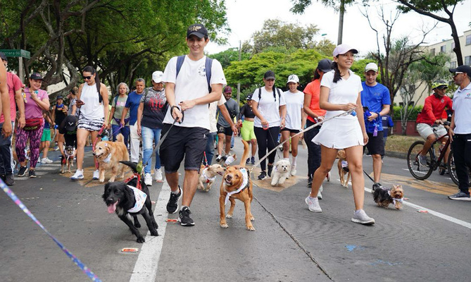 En la Ciclovida de Cali: actívate este domingo y vive saludable