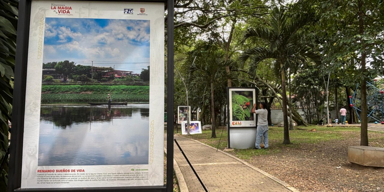 Exposición fotográfica gratuita transforma el corredor del río Cali