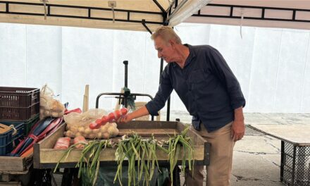 Palmira inicia la transformación de su mercado popular