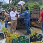 CVC ha beneficiado a 8000 familias rurales con seguridad alimentaria en el Valle