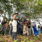 Valle del Cauca alcanza récord histórico con 586 especies de aves en 2026
